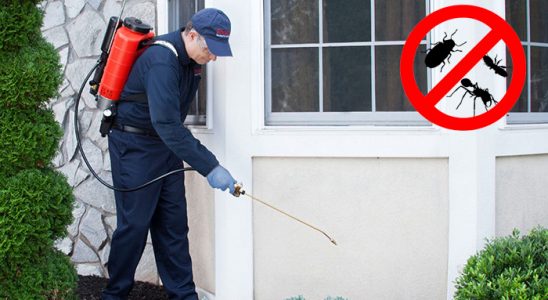 Güzelbahçe Haşere İlaçlama böcek ilaçlama ve haşere kontrolü — ilaclama-tr.com